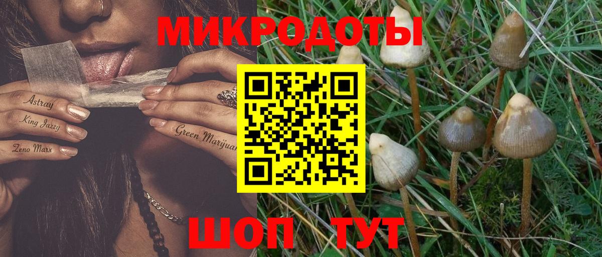 Галлюциногенные грибы GOLDEN TEACHER Ростов-на-Дону