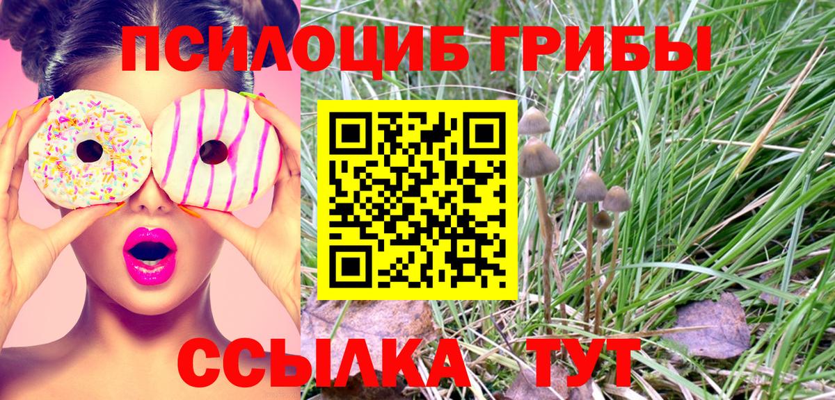 Ростов-на-Дону  Галлюциногенные грибы мицелий  Вход с VPN  сколько стоит  Галлюциногенные грибы мицелий 